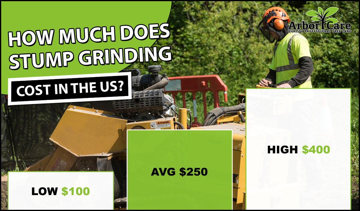 Stump Removal Cost 2020 | Average Prices - Arbor Care